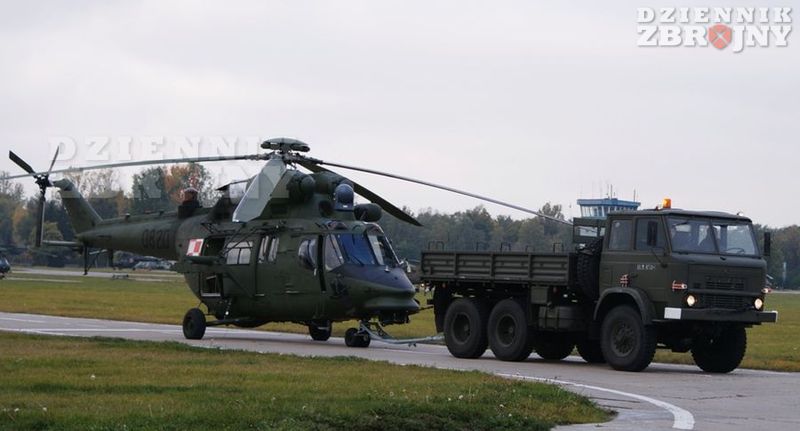 Nierozłączna para, Głuszec i Star.