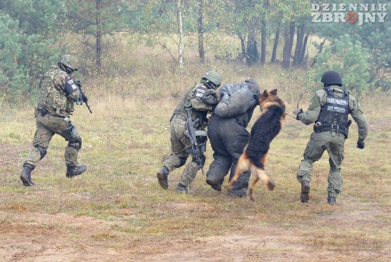 Wycofanie do pojazdów zartrzymanego i sekcji specjalnej ŻW. 