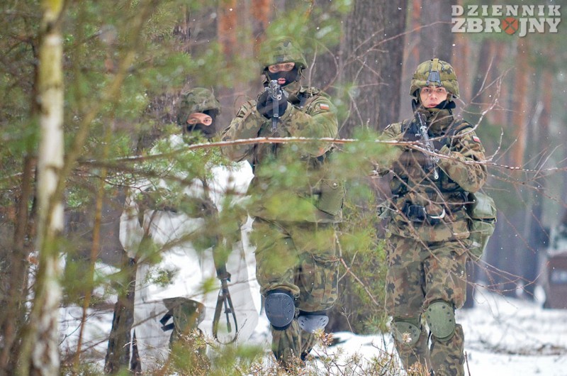 17. Brygada w natarciu